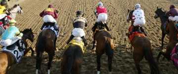 goldencents kentucky derby odds horse racing