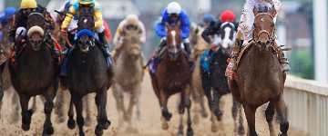 2014 Kentucky Derby betting odds contenders horse racing