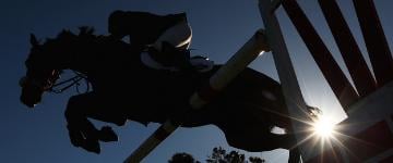 Chitu 2014 Kentucky Derby betting odds horse racing