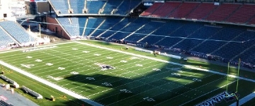 spread patriots investigation nfl super bowl betting odds colts