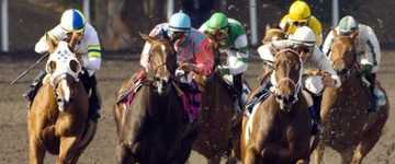 travers stakes betting odds horse racing american pharoah