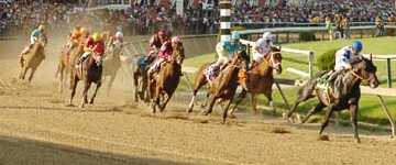 Horse Racing 5/18/16 Is Nyquist still favored to win the Preakness Stakes?