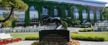 2016 Belmont Stakes Betting Preview: Weather, Odds & Post Time