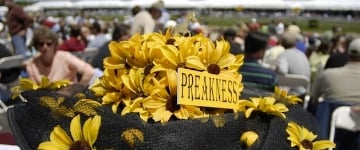 2017 Preakness Stakes Predictions: Will Hence beat out Term of Art? 5/20/17