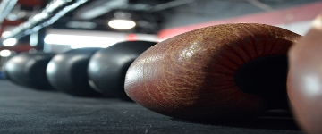 no-deposit offers and free spins